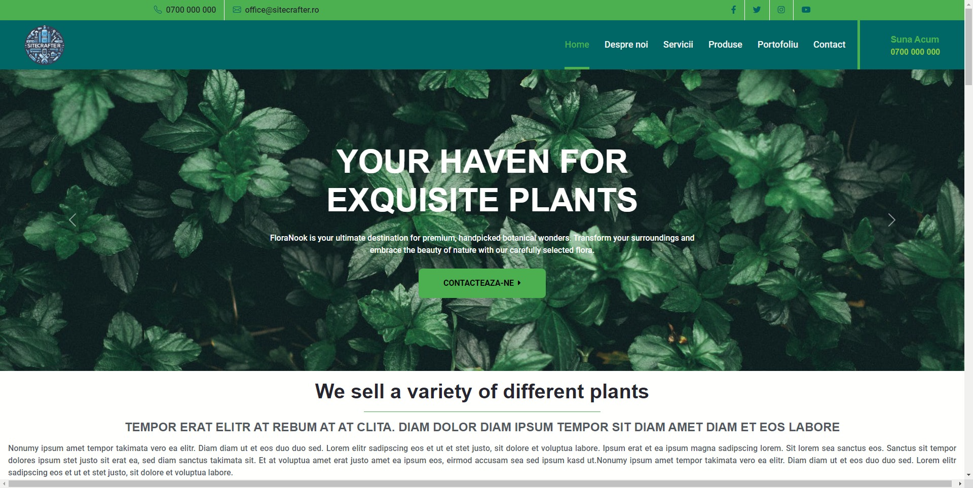 Administrare Facilă și Design Personalizat pentru Website-uri